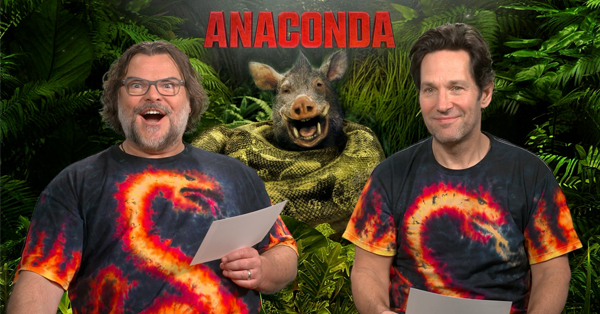 <em>Anaconda</em>